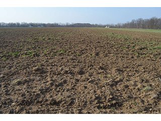 Property photo 25 - 77 +/- Acres Offered in 6 Tracts - Premier Estate Auction